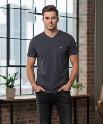 Футболка мужская VIGOSS 41713