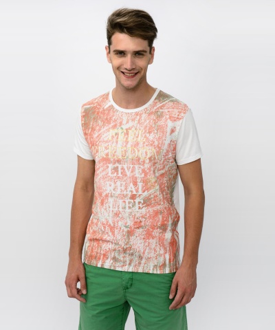 Футболка мужская TOM FARR 29822