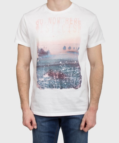 Футболка мужская TOM FARR 29819