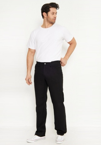 Брюки мужские WHITNEY 41928